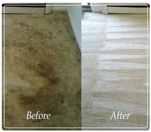 Carpet-Cleaning-Williamstown