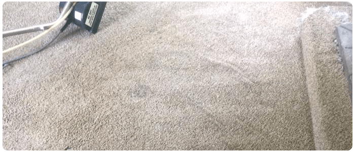 Regular carpet cleaning can actually save your money