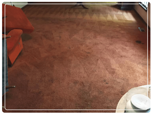 Same Day Carpet Cleaning Williamstown