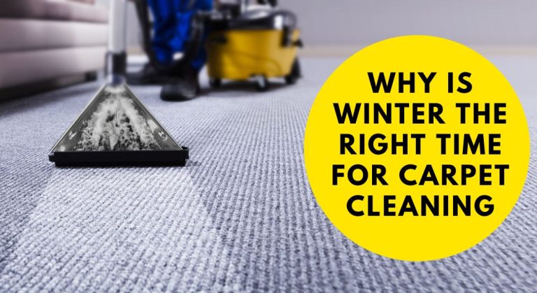 How Regular Carpet Cleaning Can Actually Save Your Money